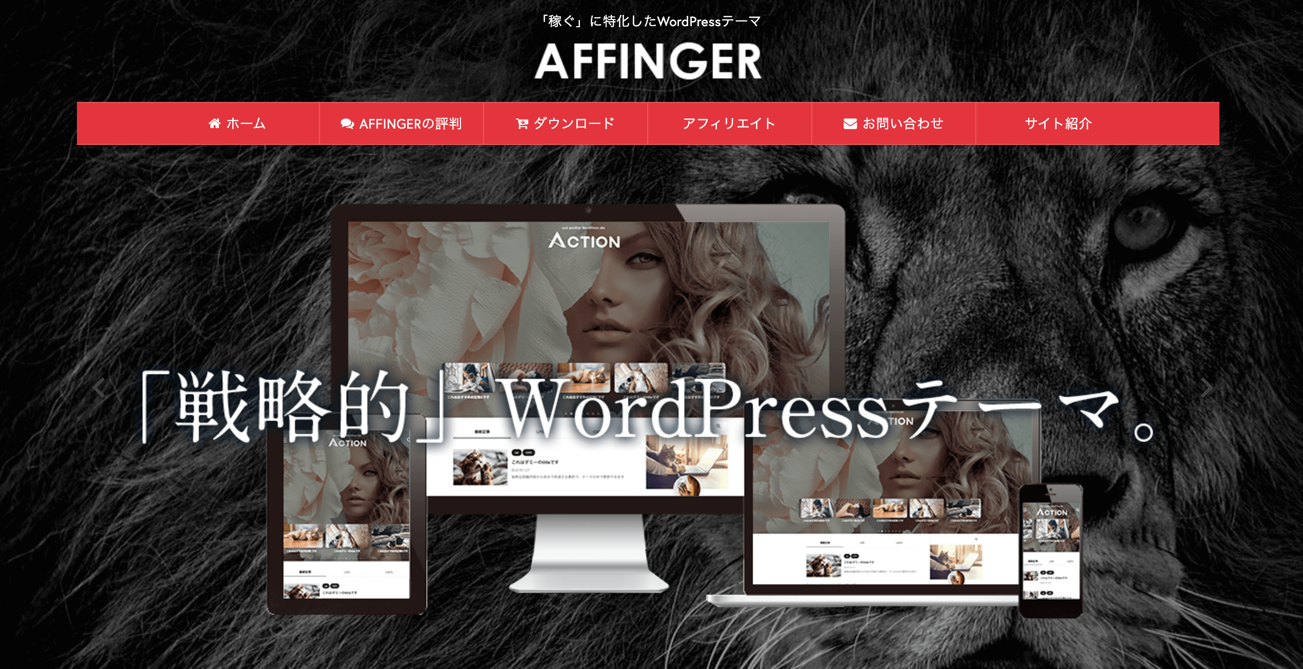 AFFINGER6